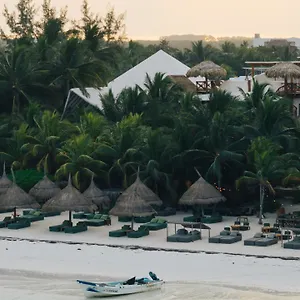 Casa Tortugas Petit & Остров Холбокс